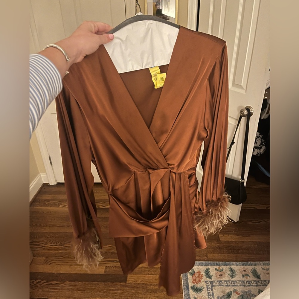 Kendall Lane Brown Feather Dress